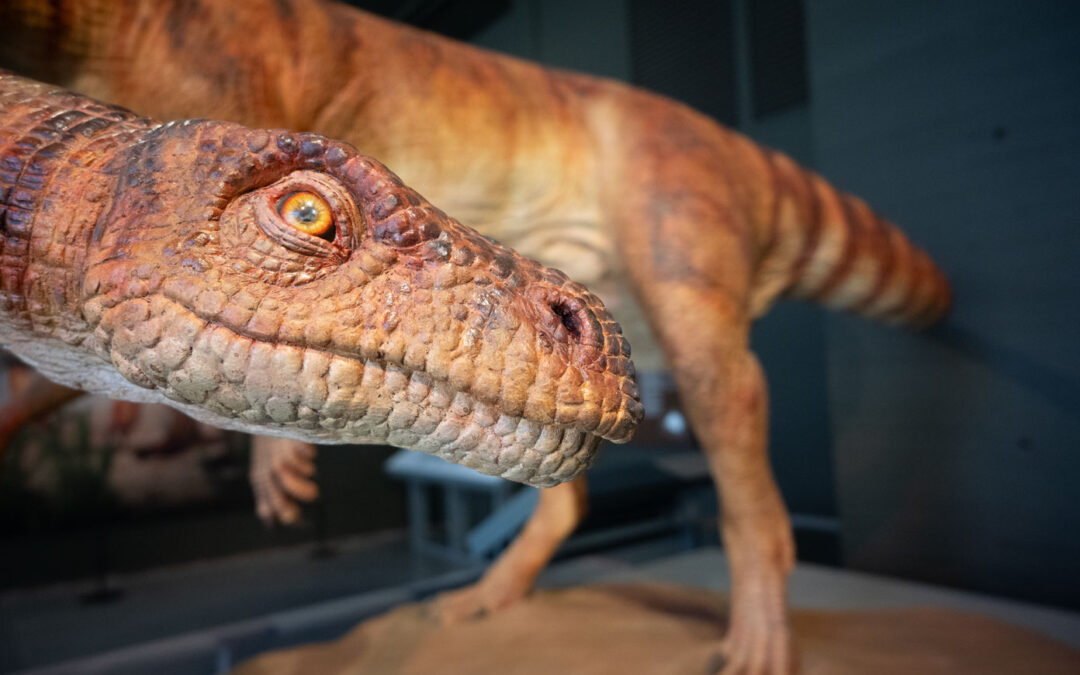 Step Back in Time: Where Dinosaurs Come to Life!